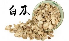 白及的產(chǎn)地是哪里？白及的用法、用量與禁忌