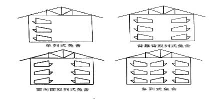 獺兔的養(yǎng)殖技術(shù)