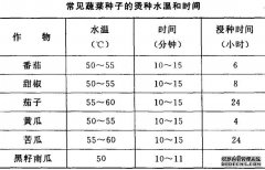 怎樣進(jìn)行蔬菜種子消毒處理