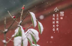 小雪節(jié)氣是什么意思，小雪節(jié)氣吃什么食品？