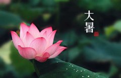 大暑是幾月幾日，大暑的節(jié)日民俗的哪些？