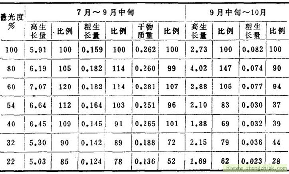 杉木對(duì)光照的要求怎樣