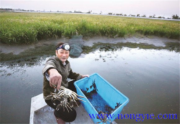 水源充足、水質(zhì)清新無污染