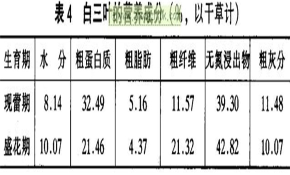 白三葉經(jīng)濟(jì)價(jià)值及利用