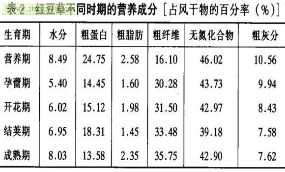 紅豆草經(jīng)濟(jì)價(jià)值及利用