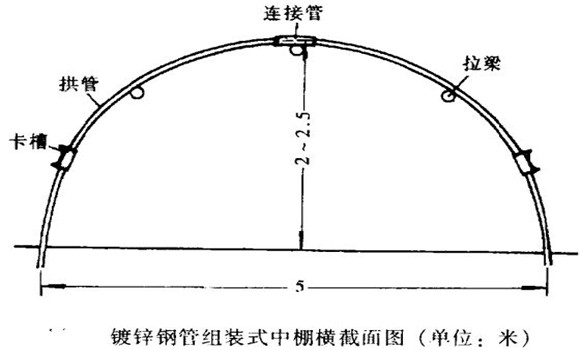 塑料中棚加外覆蓋能明顯使蔬菜早熟，效益高