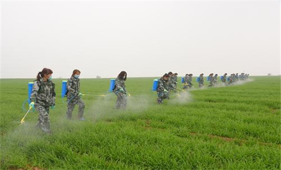 化學(xué)除草注意事項(xiàng)