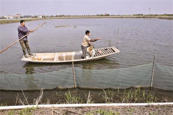 合理調(diào)整水位