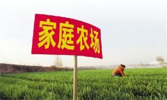 家庭農(nóng)場(chǎng)要通過(guò)實(shí)現(xiàn)專業(yè)化生產(chǎn)提高生產(chǎn)效率