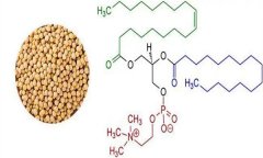 大豆異黃酮對(duì)人體有什么好處 什么食物含量多？