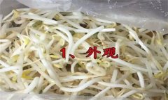 如何挑選豆芽？有根豆芽與無(wú)根豆芽有什么區(qū)別